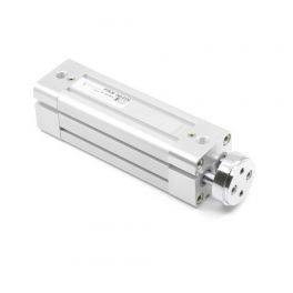 Двухштоковый пневмоцилиндр PTRM-40-025 Pemaks